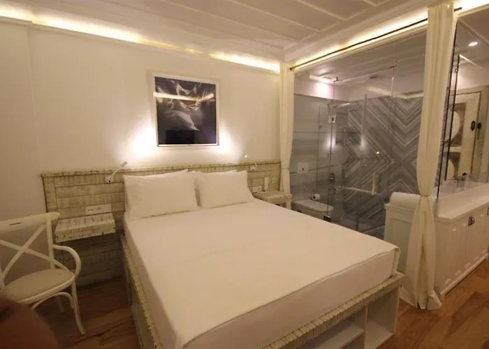 Pur Beyaz 酒店 崇达